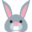 rabbit face